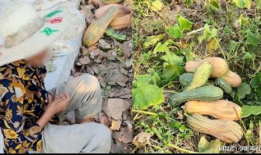 漳浦吃瓜最新事件爆料视频,视频揭秘惊人内幕，真相令人震惊！